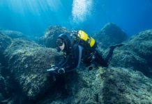El proyecto de censos visuales de peces vulnerables realiza 19 informes de 7 reservas marinas de Baleares