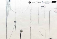 Stella Rahola expone la instalación Fig Juice en el Faro de la Mola