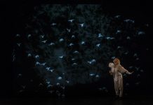 Llega «Blowing», un espectáculo visual, poético e innovador