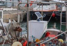 Pesca instala cajas verdes en las 77 embarcaciones de artes menores de Eivissa y Formentera