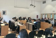 Formentera reclama un nuevo plan de control de la procesionaria y una mejora del servicio de Correos