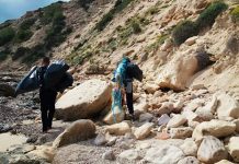 Jornada de limpieza de Pesqueres Altes y s’Estufadors