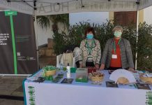 Formentera se une a la campaña “¿Iguales?» con motivo del Día Mundial contra el Cáncer