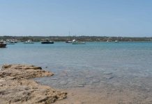 Campaña de seguridad y vigilancia en s’Estany des Peix