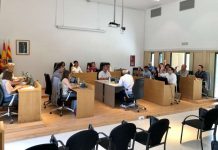 El pleno saca adelante el nuevo Reglamento de usos lingüísticos del Consell con el voto en contra de Sa Unió Pleno ordinario mayo 2022