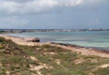 Sa Unió de Formentera exige la urgente limpieza de playas y retirada de posidonia Zona Cavall den Borras