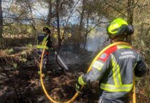 El Govern refuerza el operativo de incendios forestales a partir de mañana y hasta el domingo dada la situación meteorológica de las últimas semanas Conato de incendio en Cala Saona