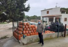 El Consell pide a Consumo e Industria del Govern que solucione el «deficiente» reparto de bombonas de butano y propano en la isla