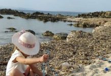 Los microplásticos protagonizan el primer premio del II Concurso de Foto Denuncia de la OCBF