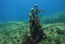 El sector pesquero profesional impulsa un protocolo para la localización y gestión de redes perdidas Restos redes de pesca