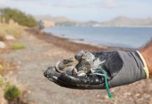 Baleares participará en un coloquio internacional sobre la proliferación de plásticos en el Mediterráneo Restos de plásticos encontrados en las playas de Baleares