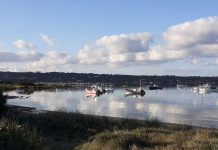 Publicada la lista inicial para obtener amarres ecológicos en s’Estany des Peix Estany des Peix