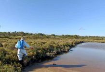 Empieza la campaña de control biológico de mosquitos y quironómidos en los humedales del Parc Natural Campaña control mosquitos 2023
