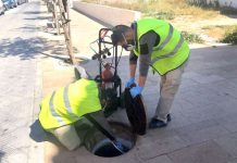 Tratamiento contra las cucarachas en los núcleos urbanos de Formentera tRATAMIENTO CUCARACHAS