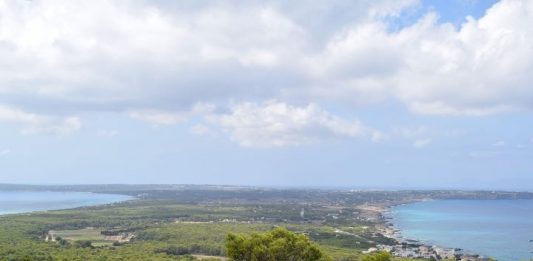 Córdoba apoya el nuevo régimen económico y fiscal pero exige que la ley reconozca la triple insularidad de Formentera Formentera