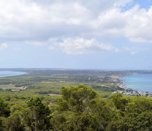 Córdoba apoya el nuevo régimen económico y fiscal pero exige que la ley reconozca la triple insularidad de Formentera Formentera