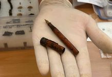 El Govern devuelve los objetos ya restaurados a familiares de víctimas de la Guerra Civil y la represión franquista Pluma de Aurora Picornell