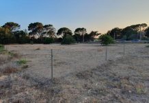 El Consell de Formentera reabre el parking de Cala Saona Terreno para parking en Cala Saona