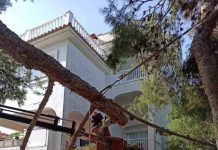 Los bomberos retiran una rama de grandes dimensiones caída en es Pujols Bombero procediendo al corte de la rama caída
