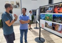 Sant Francesc acoge la exposición fotográfica de MARE: “Historias de nuestro mar” El presidente Llorenç Córdoba en la inauguración de la muestra en la plaza de Sant Francesc