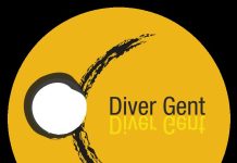 Diver Gent organiza actividades con motivo del Día Internacional de las personas con diversidad funcional Diver Gent