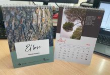 El bosque protagoniza el calendario 2024 del Consell de Formentera Calendario 2024 del Consell de Formentera
