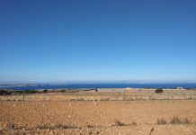 El Govern pacta con el sector agrario y ganadero una primera línea de ayudas destinada a paliar los efectos de la sequía Sequía actual en Formentera