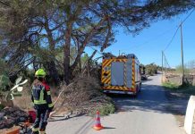Los bomberos retiran una rama de pino desprendida por el fuerte viento en la zona de cala Embaster Bomberos