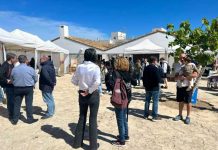 Formentera reunirá cerca de 170 ofertas de trabajo en la V Feria de Empleo y Emprendimiento el 15 de abril Fira d'Ocupació i Emprenedoria 2024