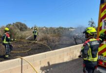 Incendio forestal en la zona de ses Eufabietes por probable cortocircuito en un cable de alta tensión Bomberos de Formentera en las tareas de extinción