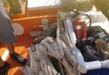 El servicio de limpieza del litoral recoge 241,40 kilos de residuos en Formentera durante el mes de julio
