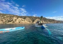 El Consell procede a la retirada de las pateras abandonadas en el litoral de la isla tras la negativa del gobierno central a hacerse cargo de ellas Patera retirada del litoral de Formentera