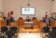 El pleno pide a la APB que paralice la licitación del puerto y que el proyecto se presente ante el Consell d’Entitats Pleno diciembre 2024