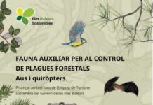 El Govern edita una guía divulgativa de pájaros y murciélagos para concienciar de la importancia que tienen estas especies para el control de plagas forestales
