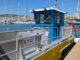 Limpieza del litoral