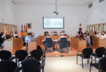 El pleno del Consell aprueba continuar las inspecciones a las concesiones de playa para velar por el cumplimiento de la normativa vigente pleno julio 2025