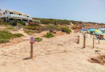 Los bomberos de Formentera balizan una zona de Es Copinar para garantizar la seguridad de bañistas y usuarios Área balizada en la playa de Es Copinar
