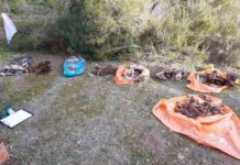 Formentera traslada al SEPRONA el hallazgo de restos óseos de animales en una fosa en la zona de Es Cap