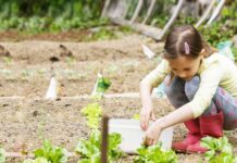Abierta la inscripción al Taller de agricultura para niños