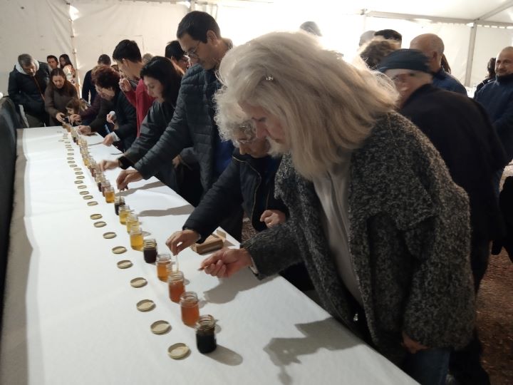 Concurso mieles Baleares 2025