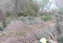Los fuertes vientos producen diversos incidentes en Formentera Temporal enero 2026