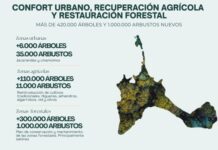 Baleària y Nature & People Foundation comparten el proyecto de plantación de 2.500 árboles en Formentera para empezar a mejorar la sostenibilidad de la isla Proyecto Living Formentera