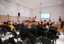 Formentera.eco: GxF denuncia que Sa Unió oculta un aumento del techo de vehículos y los datos de tráfico de 2025