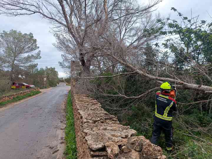Temporal enero 2026