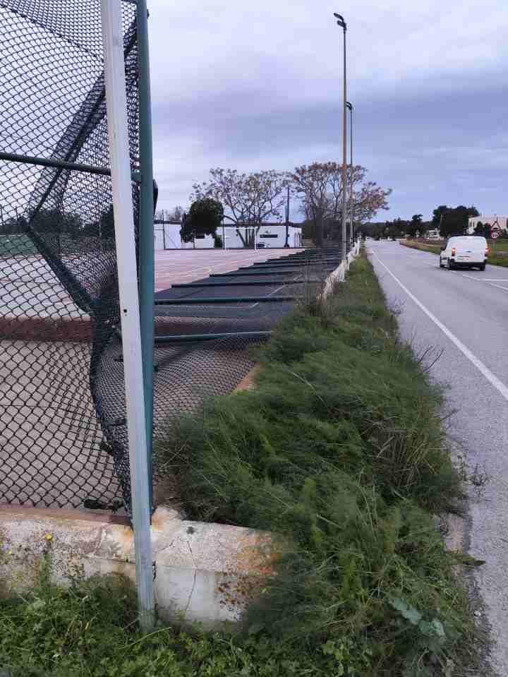Temporal de viento