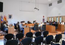 El Ple del Consell Insular de Formentera aprova per primera vegada una ordenança per regular els vehicles de mobilitat personal