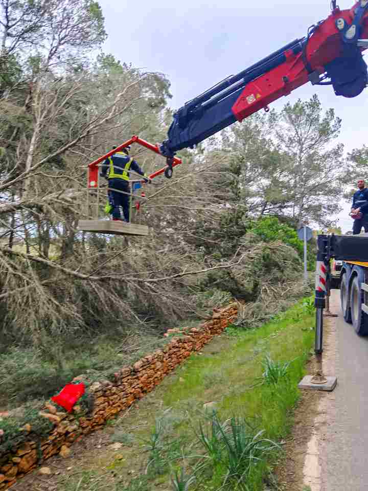 Temporal viento