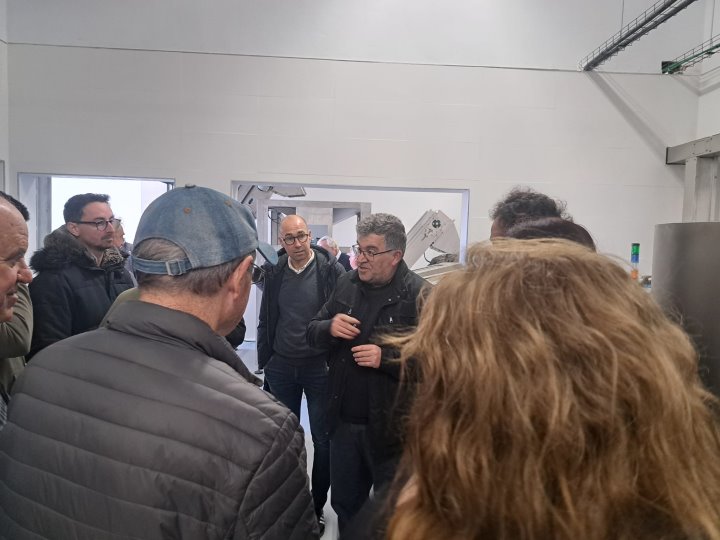 Almazara Cooperativa del Camp