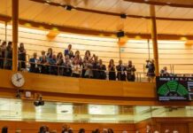 Formentera contará con senador propio a partir de la próxima legislatura Aprobación senador propio