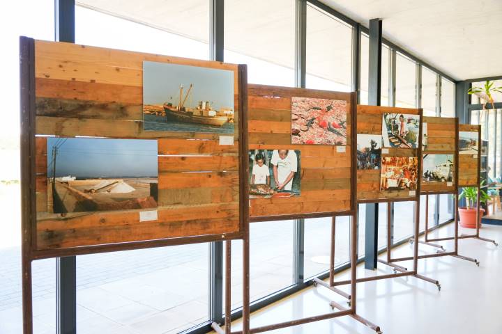 Expo Agustín Bernús